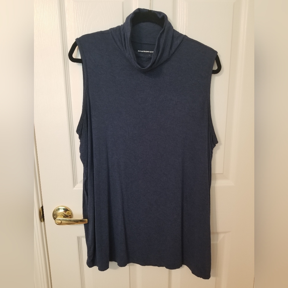 Allison Daley tunic top
